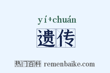 遗传是什么意思的图片